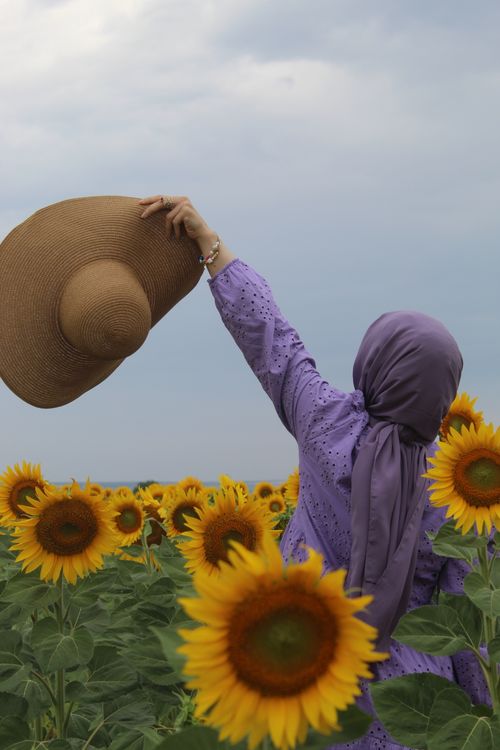 Free Back view of a woman in a purple hijab with raised arm holding a hat among sunflowers. Stock Photo