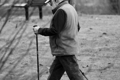 A senior man engaged in Nordic walking during a day in the park.