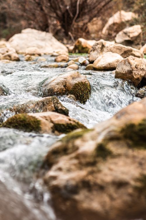 Free A serene stream with moss-covered rocks, displaying the beauty of nature in a close-up view. Stock Photo