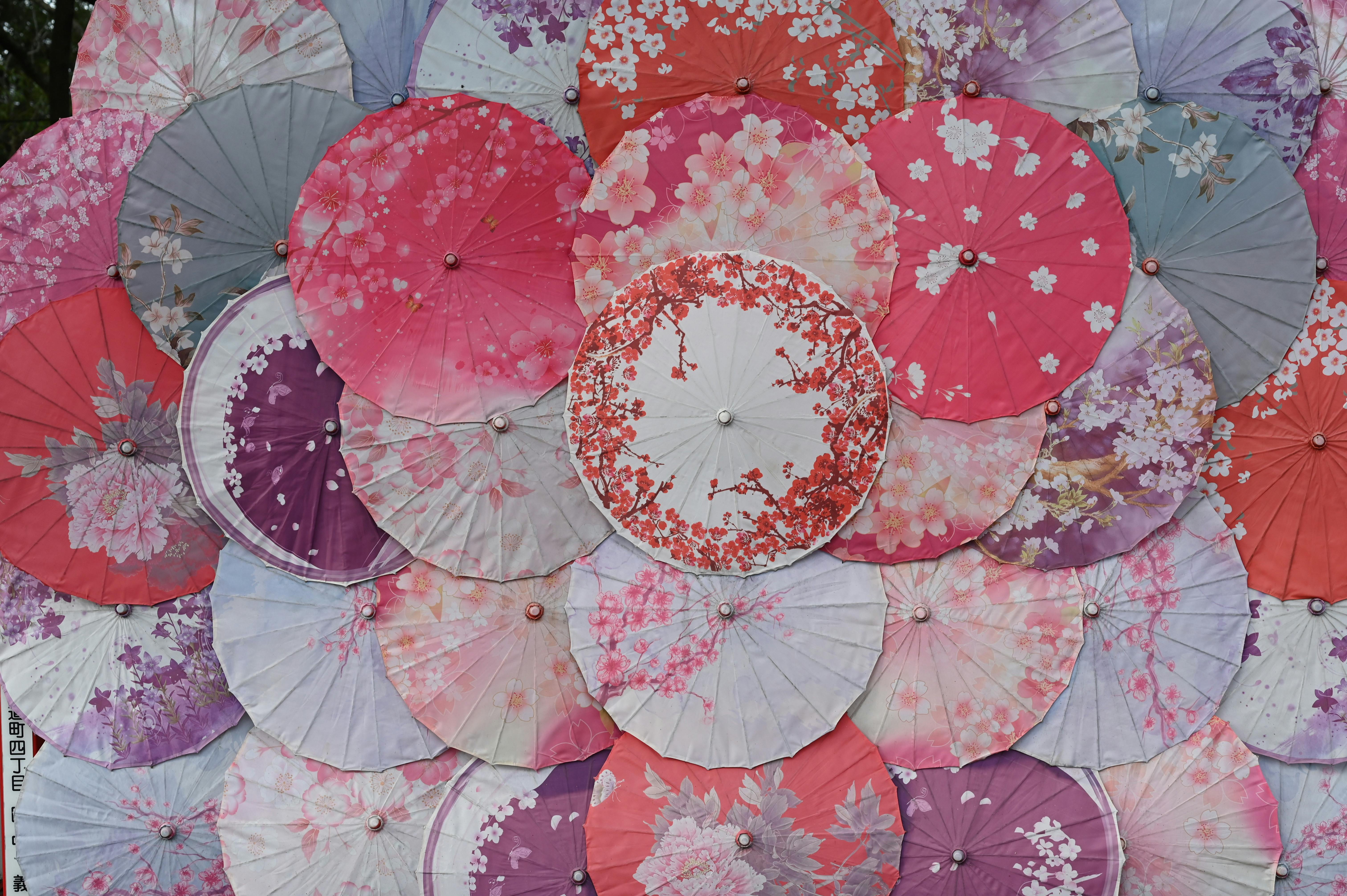 Vibrant traditional Asian paper umbrellas with floral patterns, creating an artistic design.