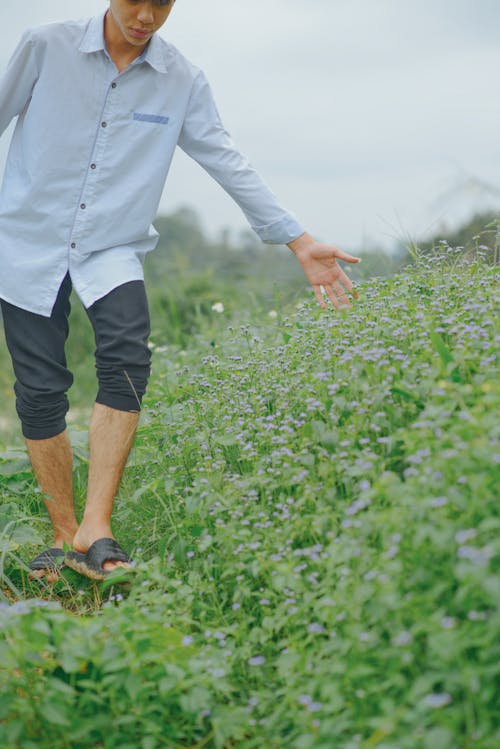 A man in a blue shirt and black pants is walking through a field