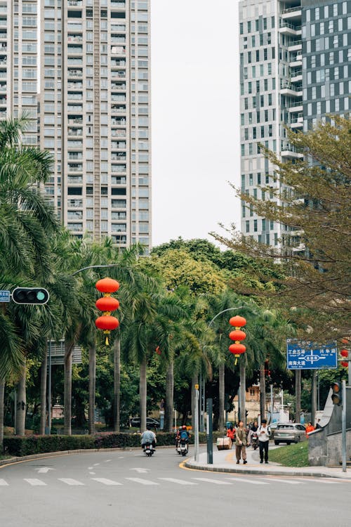 Imagine de stoc gratuită din arbori, Asia, clădiri