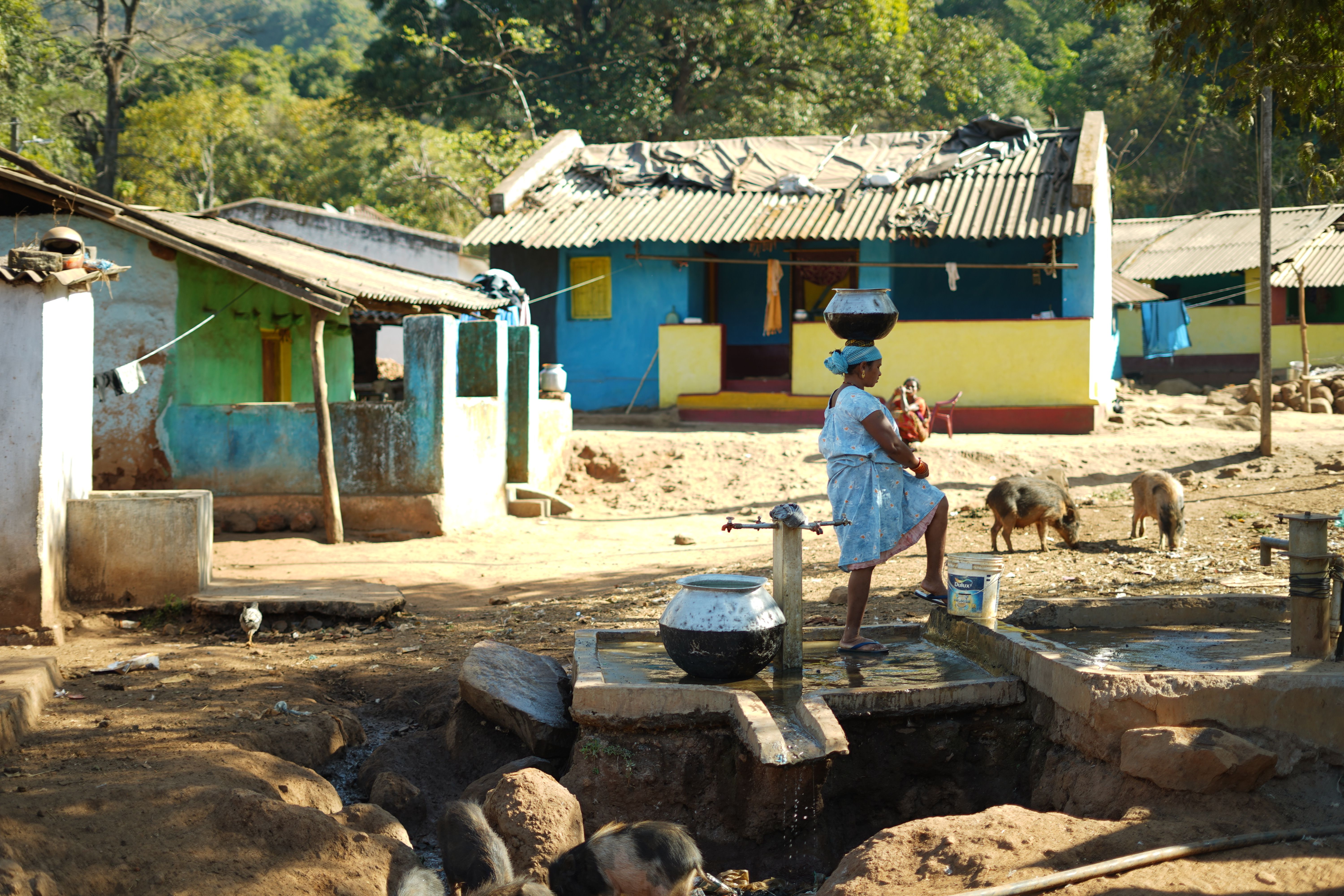 Jharkhand's Migration Patterns: Understanding the Rural-to-Urban Shift and its Tribal Impact