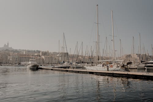 Yachts in Marina in City