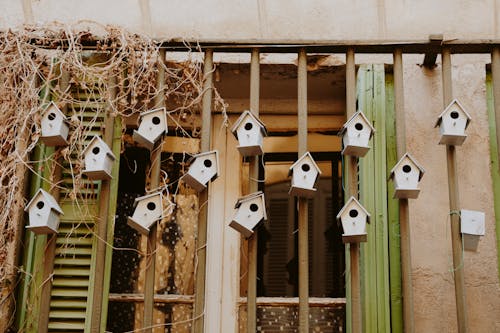 Fotos de stock gratuitas de casas de aves, casas de madera, colgando