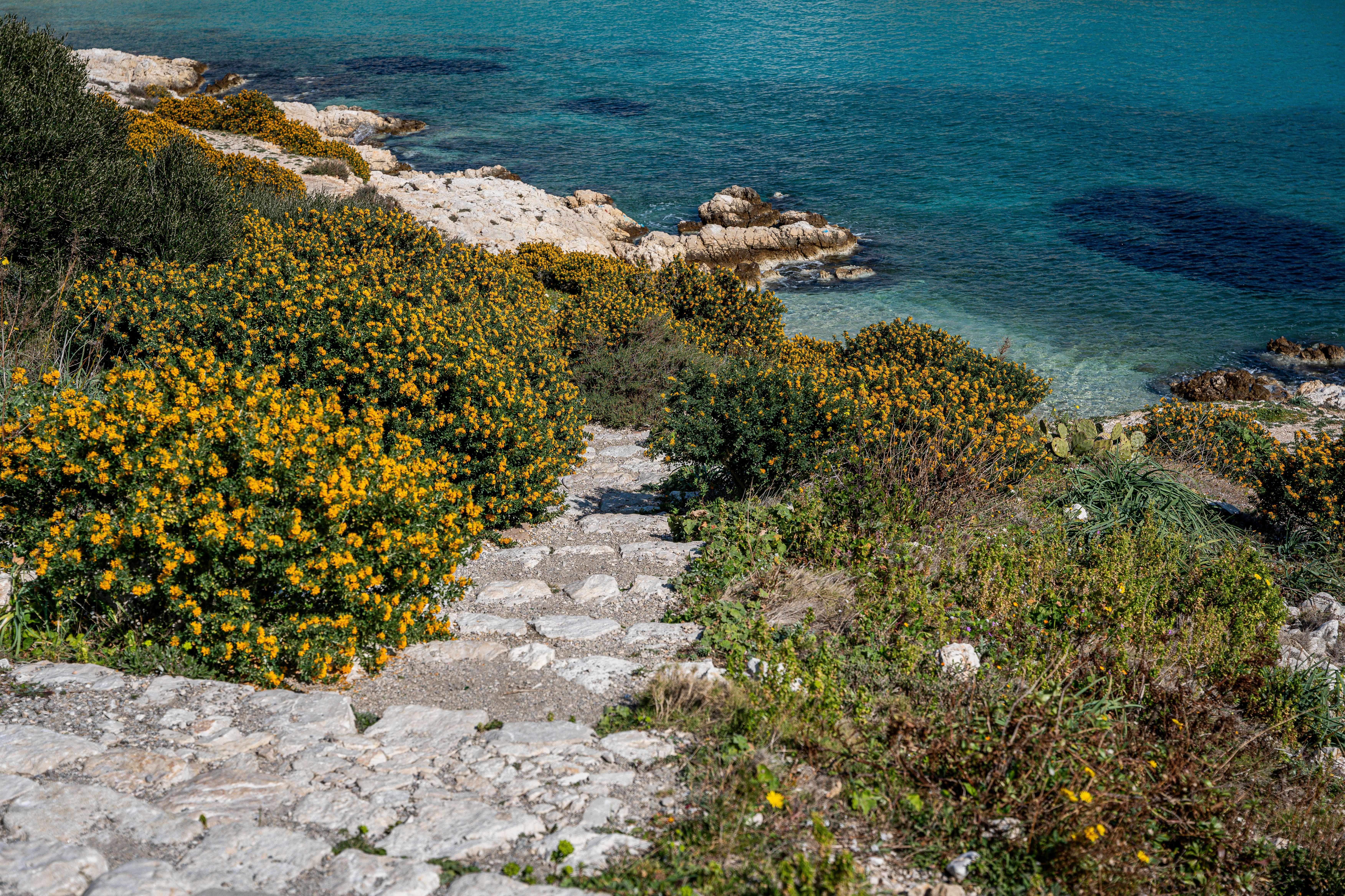 How Long Yellow Slip Takes in Cyprus — illustrasjonsbilde