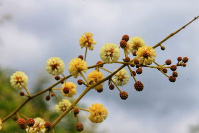 一年级写的新年祝福语 一年级写的新年祝福语怎么写