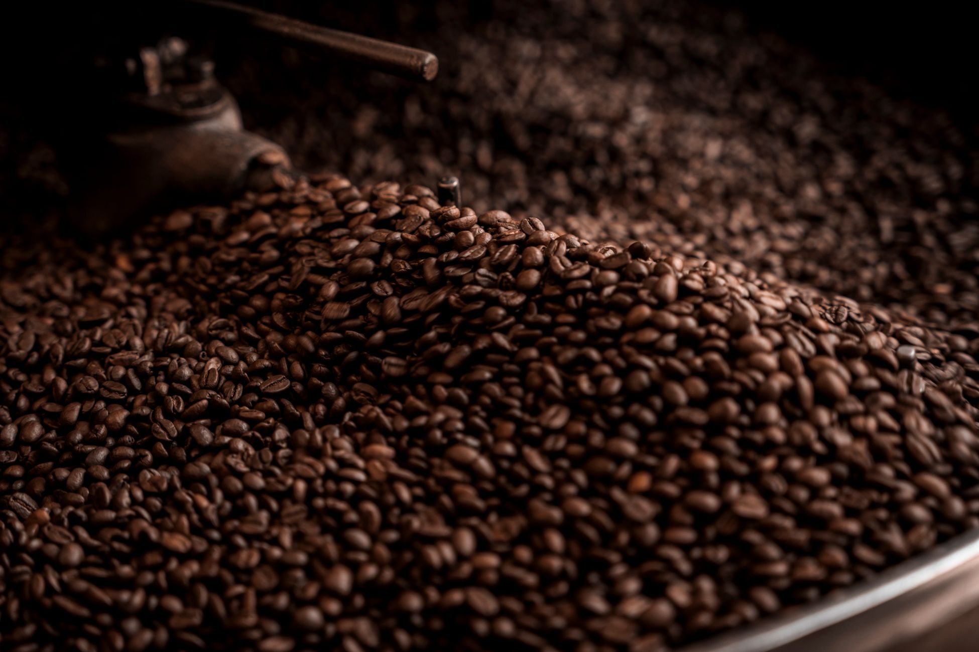 High-quality close-up image of freshly roasted coffee beans cooling in a café environment.