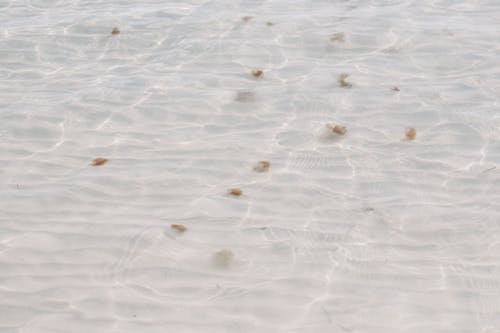 Foto d'estoc gratuïta de aigua, líquid, mar