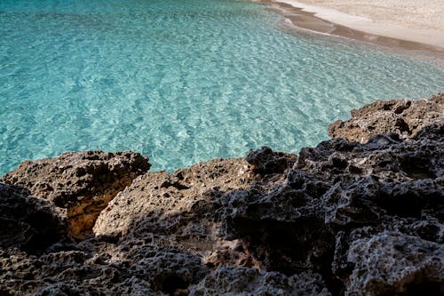 Foto profissional grátis de areia, beira-mar, costa