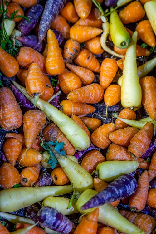 Foto profissional grátis de alimento, cenoura, chácara