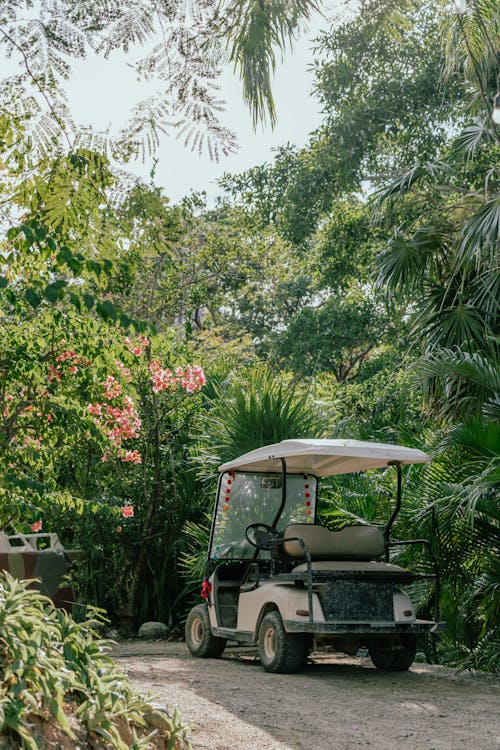 A golf cart parked in the middle of a jungle