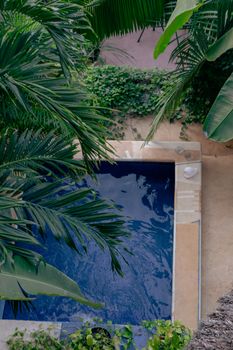 A tranquil pool is surrounded by tropical greenery, creating a secluded oasis perfect for relaxation.