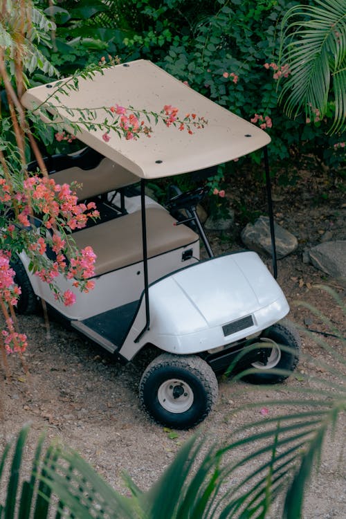 Fotobanka s bezplatnými fotkami na tému golfový vozík, kvety, rastliny