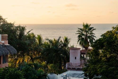 A view of the ocean and palm trees from a rooftop