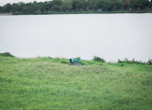 A bench is sitting in the grass near a body of water