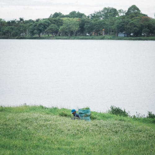 A person sitting on a bench near a lake