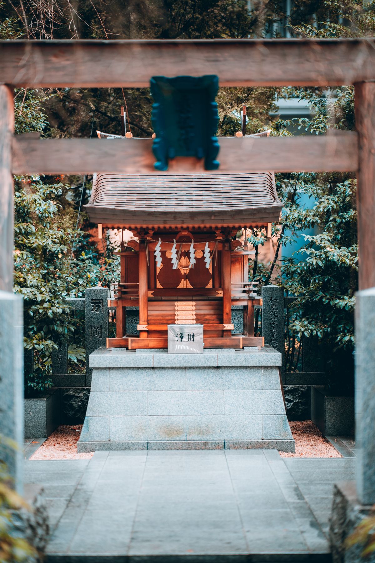 鳥居越しに見える社