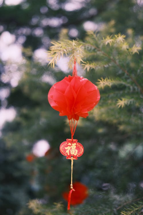 A red chinese lantern hanging from a tree