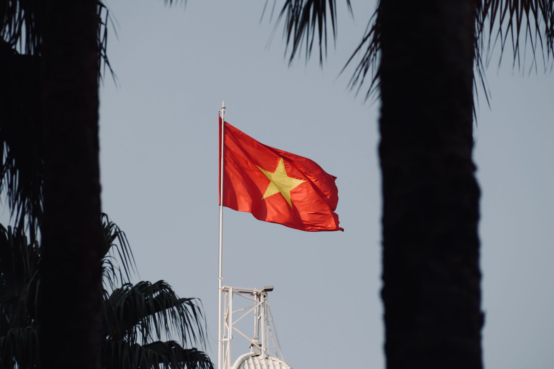 Vietnamese national flag on a flagpole with clear sky and palm trees.