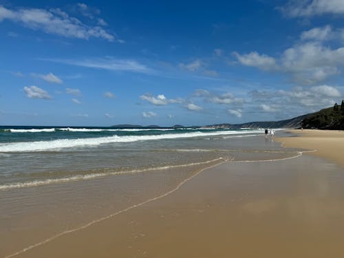 People Walking on a Beach in Distance