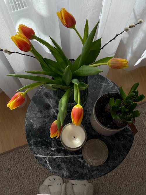 A Coffee Table with a Bunch of Tulips, a Houseplant and a Candle 