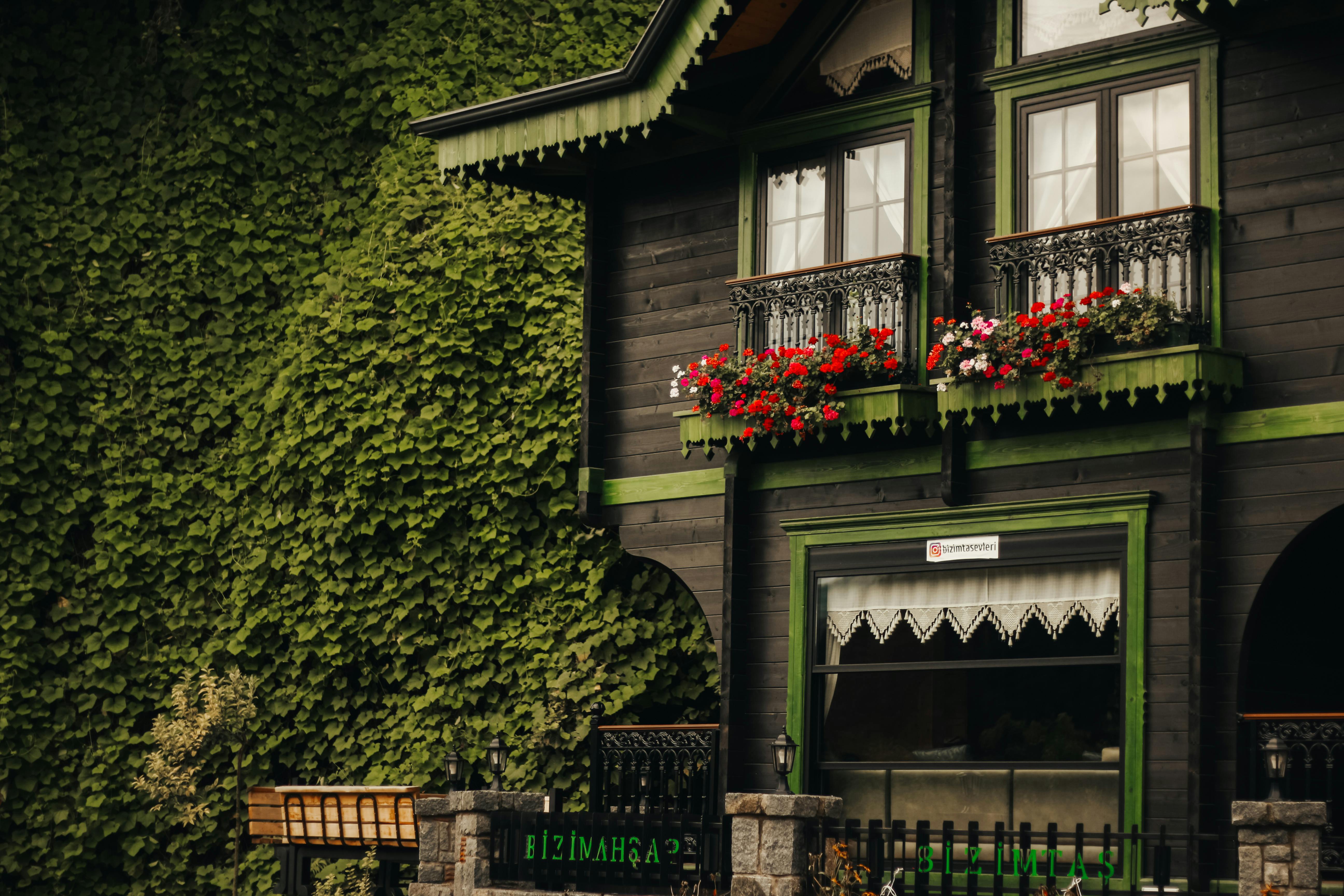 Mortgage Rates Are Lower Today, But Should They Be? — Photo by Sara mazin on Pexels
