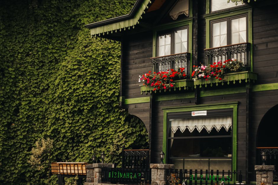 A rustic traditional house facade with vibrant flowers and lush greenery.