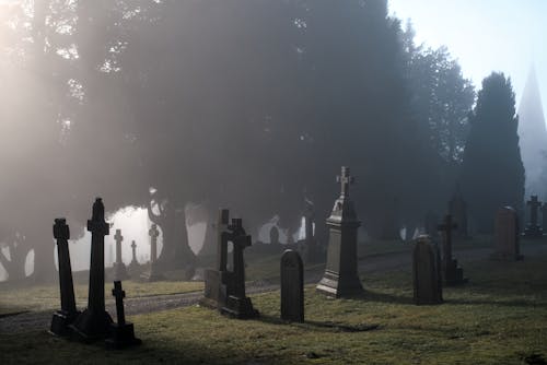 Kostenloses Stock Foto zu bäume, christentum, friedhof