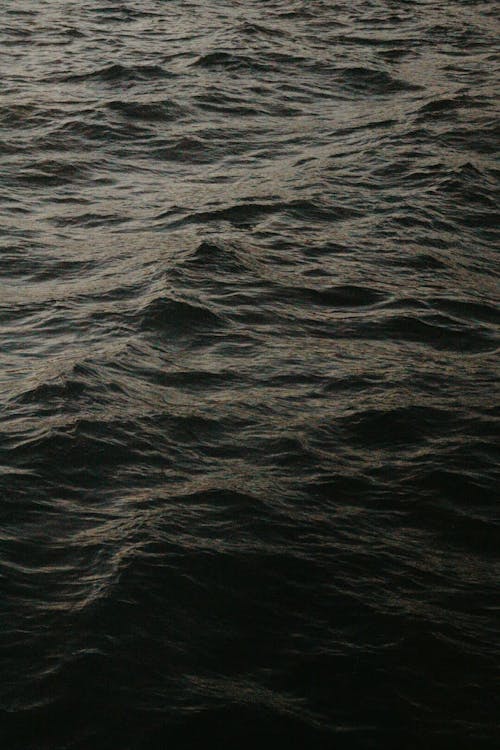 Foto d'estoc gratuïta de , fons de pantalla mòbils, mar fosc
