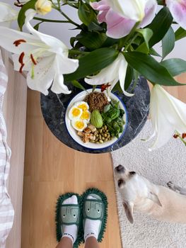 A healthy breakfast bowl with eggs and greens, observed from above by a curious dog.