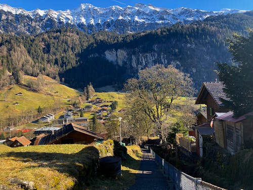 Kostenloses Stock Foto zu außerorts, bäume, berge