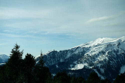 A view of a snowy mountain range with trees