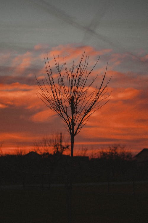 Бесплатное стоковое фото с апельсин, закат, красивое небо