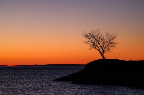 Free Silhouette of a lone tree against a vibrant sunset sky by the sea shore. Stock Photo