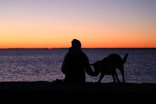 Twilight. 28° F feels like pretty damn cold. 6:30 to 7:15 am. February 4, 2024. Cove Island Park, Stamford, CT.