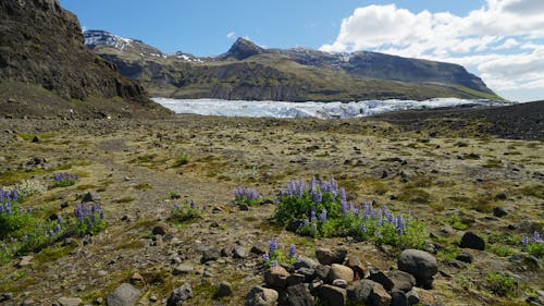 ground moraine, glacier outlet