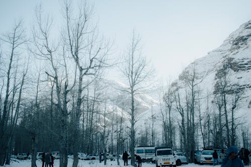 Бесплатное стоковое фото с автомобили, горы, деревья