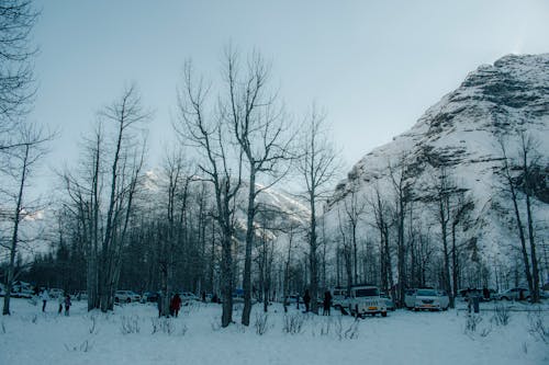People and Cars with Snow Covered Mountains in the Background 
