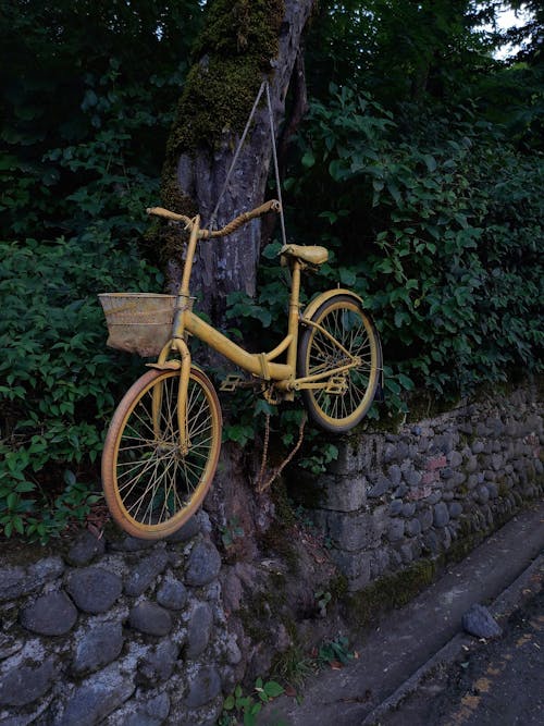 Yellow Bike Hanging on Tree