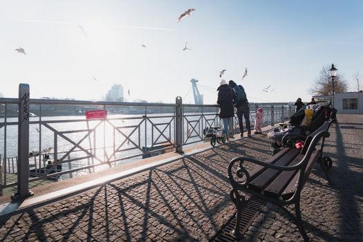 People observing gulls by the Danube in Bratislava on a sunny day, capturing urban life.