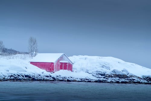 Fotos de stock gratuitas de ártico, cielo gris, harstad