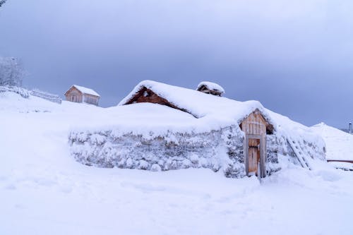 Fotos de stock gratuitas de ártico, cielo gris, harstad