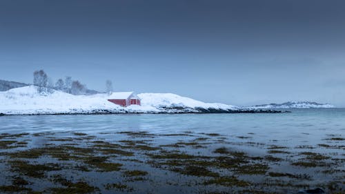 Fotos de stock gratuitas de ártico, cielo gris, harstad