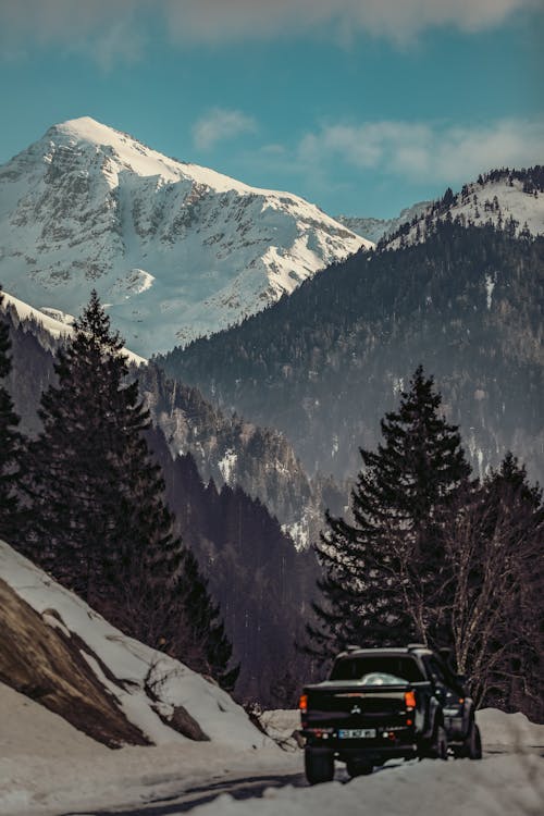 Foto d'estoc gratuïta de 4x4, arbres, aventura