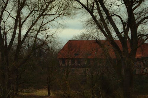 房子, 桁架, 樹木 的 免費圖庫相片