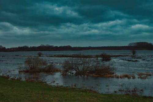 Kostenloses Stock Foto zu bäume, deich, elbe