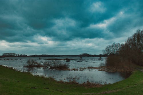 Kostenloses Stock Foto zu bäume, deich, elbe