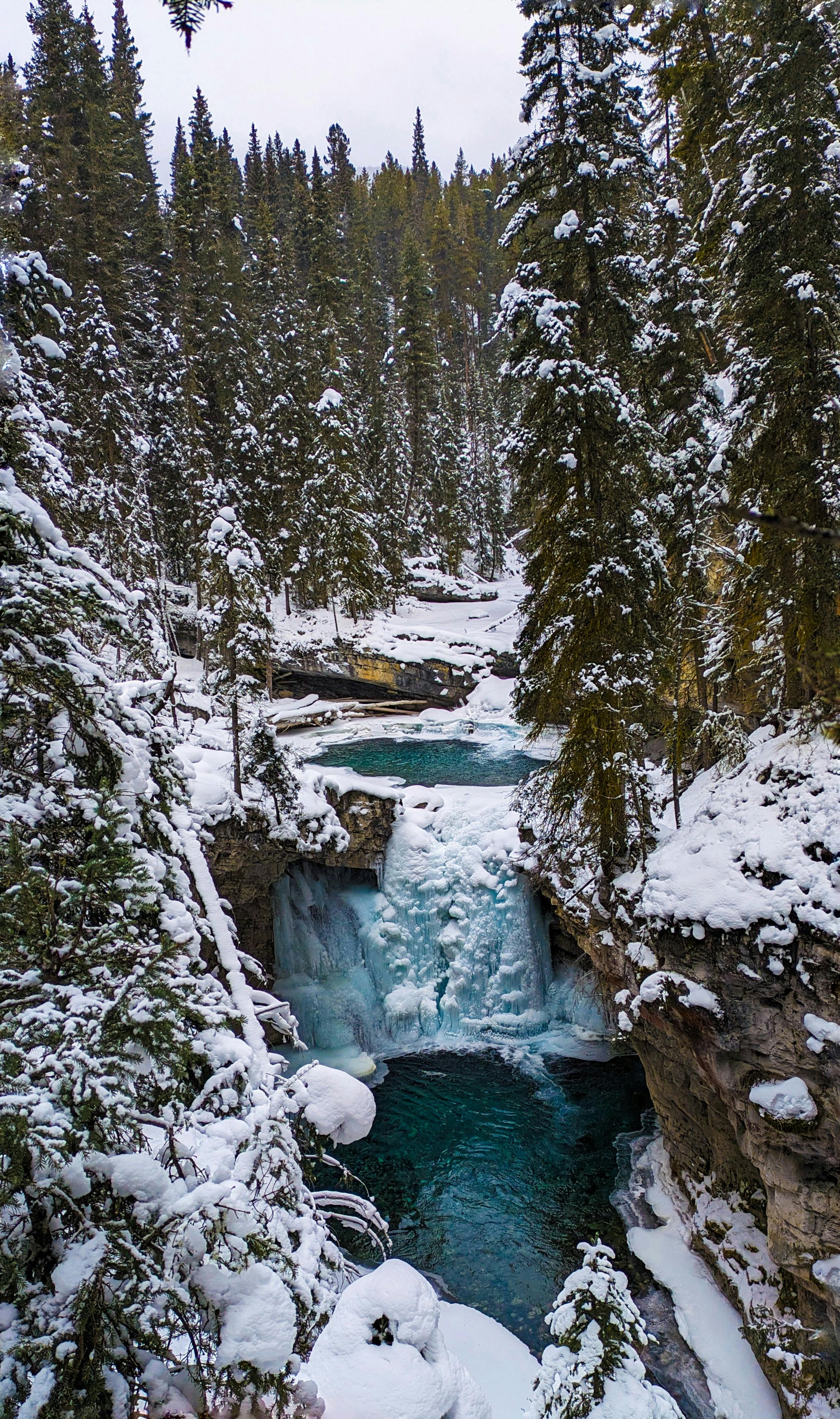Discover a serene frozen waterfall amidst a snow-covered forest landscape.