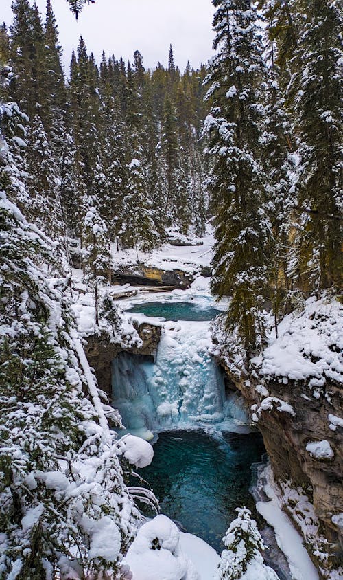 A waterfall in the snow surrounded by trees